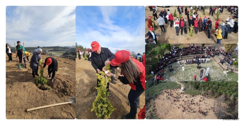Sultangazi’de Ağaç Dikim Etkinliği 