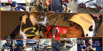 İstanbul İtfaiyesi 5 Ayda 6 Bin Hayvan Kurtardı