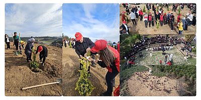 Sultangazi’de Ağaç Dikim Etkinliği 