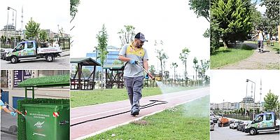 Yaz Boyu İlaçlamaya Devam