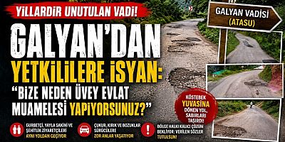 Yıllardır Unutulan Vadi! Galyan'dan Yetkililere isyan: 
